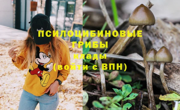 кокаин Михайловка
