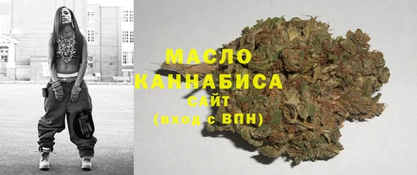 мдпв Богородицк