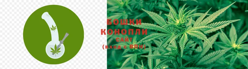 Бошки марихуана LSD WEED  Короча 